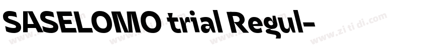 SASELOMO trial Regul字体转换